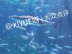 -海合安成都极地海洋公园