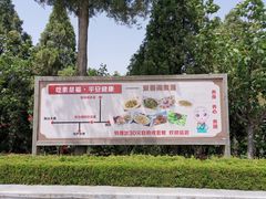 -龙口南山旅游景区