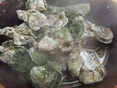 -蚝专家(北滘店)