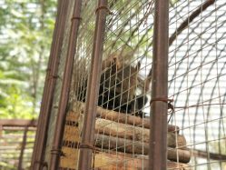 -萌宠亲子动物乐园(槐房万达店)