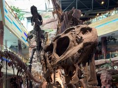 -安徽省地质博物馆