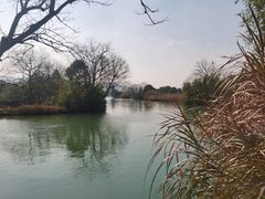 -西溪国家湿地公园