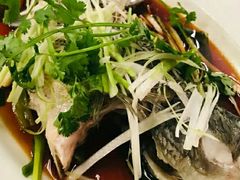 -岭南小馆