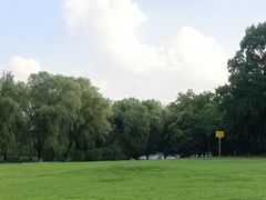 -九里河湿地公园