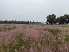 -汉长安城未央宫国家考古遗址公园