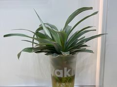-雅克雅思(纱帽河店)