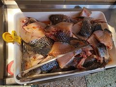 -费明中罗非鱼(大石坝店)