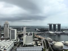 -新加坡瑞士史丹福酒店