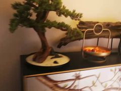 -足传奇足浴SPA(科技城店)