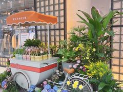 -COACH蔻驰(星光68广场店)
