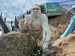 -西霞口神雕山野生动物世界