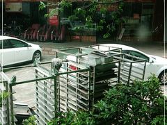 -广东福力达圣心食品有限公司
