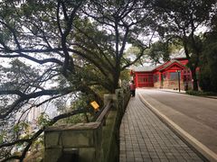 -鹅岭公园瞰胜楼