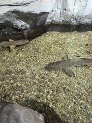 -Zoolung Zoolung动物主题公园(海信广场店)