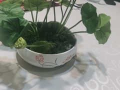 -小城外婆肴私房菜.家宴聚集点(圆明园颐和园·清河上地店)
