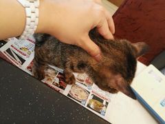 -许府牛杂·鲜牛肉火锅(梁溪万达店)