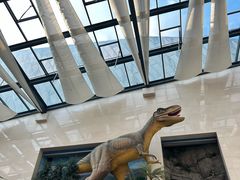 -安徽省地质博物馆