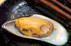 Imported Mussels