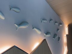 -全乐鱼馆·淳牌有机鱼直营店