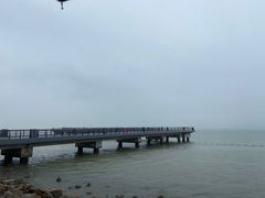 -深圳湾公园(南山区)