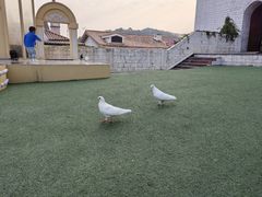 -华谊兄弟（长沙）电影小镇