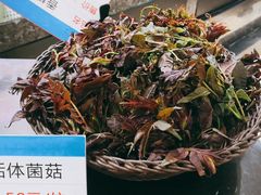 -宝燕壹号(徐汇店)