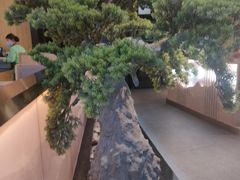 -马家斑.鲜鱼火锅(松湖万科店)