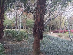 -南宁南湖公园