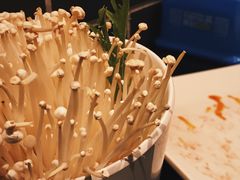 -宽板凳老灶火锅(簋街店)