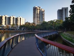 -四海公园(南山区)