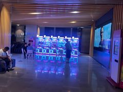 -博纳国际影城IMAX(中央大道店)