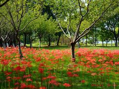 -白塘生态植物园