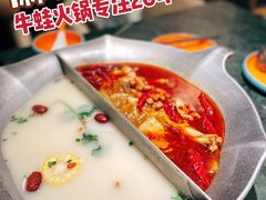 -麻田会 ·鲜活现烹·牛蛙火锅(珠江新城维家思广场店)