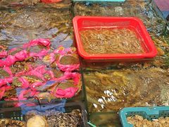 -桂园白粥·潮汕老味道