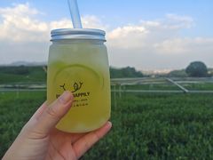 -龙坞茶村