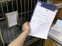 非常细心的医嘱-康乐宝动物医院