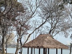 -高子水居