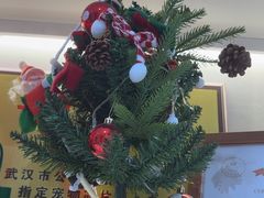 -希望动物医院(汉阳院)