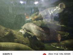 -泉州海丝野生动物世界