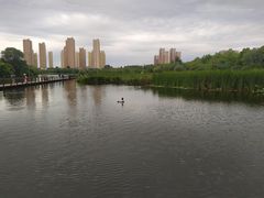 -前关湿地公园