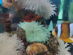 -太平洋海底世界