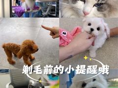 -宠颐生宠物医院·犬猫全科·皮肤科(商业街店)