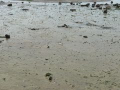 -北海金海湾红树林生态旅游区