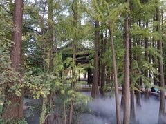 -东湖落雁景区