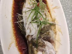 -樟树底(胜利河美食街店)