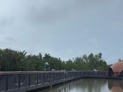 -东寨港红树林旅游区