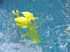 -金汤湾海水温泉度假酒店