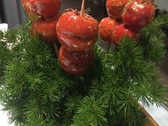 -邯郸人餐厅·地方菜 邯郸菜(邯郸东站店)