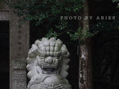 -普陀山风景区-佛顶山