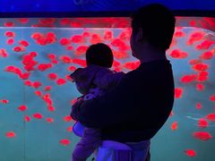 -重庆欢乐海底世界
